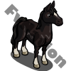 Toroughbred Horse