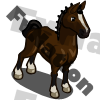 Hackney Horse