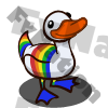 Rainbow Duck