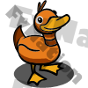 Orange Duck