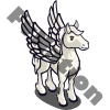 Whte Pegasus