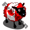 Canadian Flag Ewe