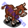 Baby Oxen