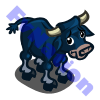 Baby Blue Oxen