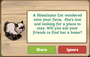 Lonely Himalayan Cat Popup