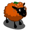 Pumpkin Sheep 10 FV$
