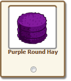 Purple Round Hay