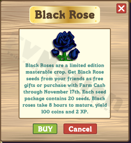 Black Rose popup