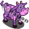 Purple Heart Cow