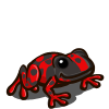 Red Dart Frog
