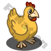 Orpigton Chicken