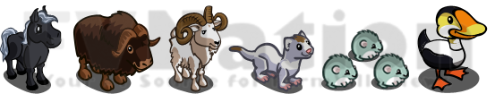 Black Mini Stallion / Musk Ox / White Ram / White Ermelin / Snow Lemmings / Elder Duck