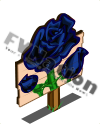 Black Roses Mastery